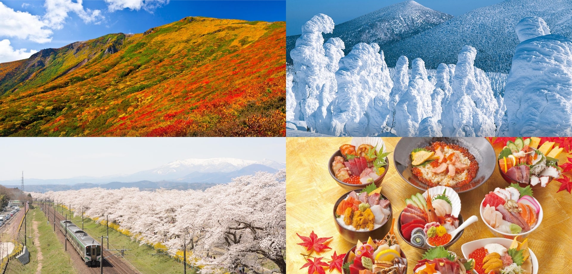 東北・宮城ならではの体験、絶景、グルメなど、多岐に渡る魅力について、インタビュー内でたっぷりとお聞きします！